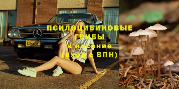 MESCALINE Алзамай