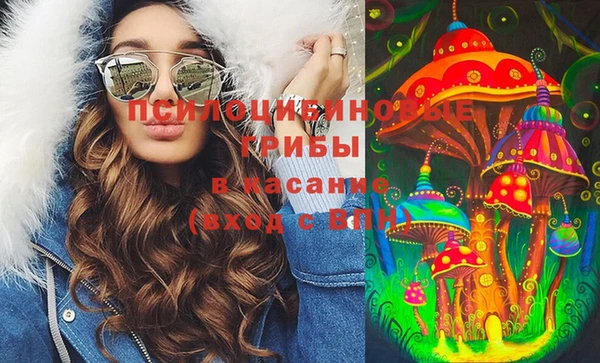 молекула духа Алексеевка