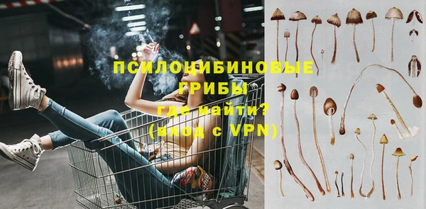 молекула духа Алексин
