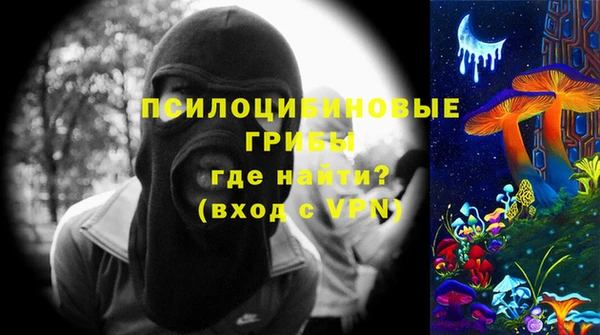 молекула духа Алексеевка