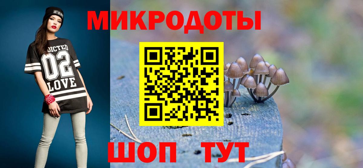 Галлюциногенные грибы Psilocybe  Псилоцибиновые грибы GOLDEN TEACHER  Заводоуковск  Вход с VPN 